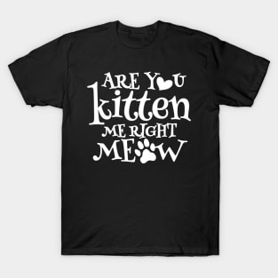 Are You Kitten Me Right Meow T-Shirt